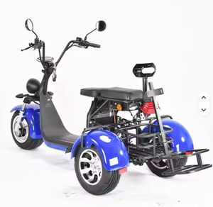 Motocicleta Eléctrica de Tres Ruedas para Adultos con Batería de Iones de Litio de 2000w 60v12AH/20AH - Product Image 5