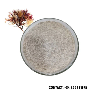 ผงมอสทะเลไอริชออร์แกนิกพรีเมี่ยมราคาไม่แพง/มิสเจสซี่ - Product Image 6