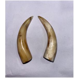 Handmade Natural Crafts Bone Beads Toggles in Various Sizes <b>Jewelry</b> Designers Art Kids Nature's Beauty <b>Inspiration</b> - Product Image 2