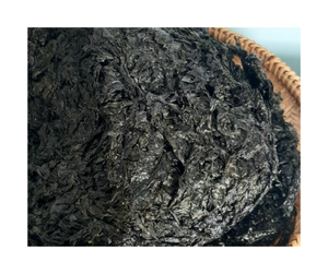 สาหร่าย Sargassum แบบเวียดนามแห้งสาหร่ายสีน้ำตาลทองสำหรับอาหารสัตว์และการเกษตร - Product Image 4