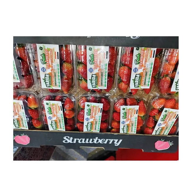Top Selling Export Quality Wholesale Fruits Berries Sweet and Natural Delicious Fresh Strawberry from Egypt Origin Supplier