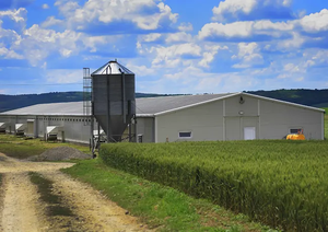 Kết cấu thép prefab kết cấu nhà Gà Gia cầm trang trại xây dựng - Product Image 5