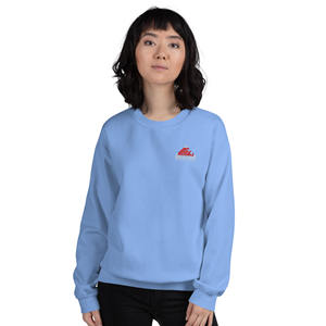 Sweat-shirt polaire unisexe de qualité supérieure 2025 choix pour les marques de mode magasins de streetwear lignes Gymwear et acheteurs en gros - Product Image 2
