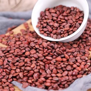 เมล็ดพุทราป่าแท้เกรดสูง - Product Image 1