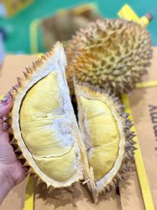 Le meilleur Durian frais de Monthong, entier et pur - Product Image 5