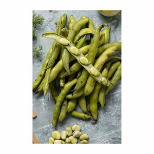 Granos premium disponibles a granel ideales para fabricantes y mayoristas de alimentos - Product Image 5