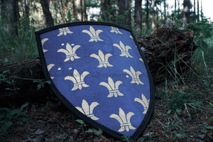 Escudo vikingo Armadura medieval Armaduras antiguas Artículos medievales Regalos vikingos Escudo Calvin artesanía - Product Image 2