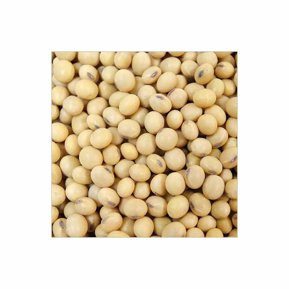 Soja soja a granel soja Semilla Exportador