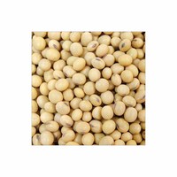 Exportateur de graines de soja biologique et OGM Farine de soja jaune en vrac pour l'alimentation animale Styles séchés et congelés en sacs