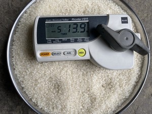 Arroz de jazmín seco para sushi de grano corto de Vietnam para comida japonesa al por menor, Kg paquetes de 1, 5Kg y 10Kg - Product Image 2