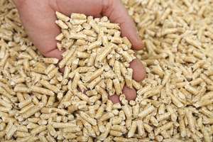 Granulés de bois de qualité supérieure pour chaudières à biomasse, combustible de chauffage disponible en stock, livraison rapide, vente en gros de granulés de bois de qualité supérieure - Product Image 6