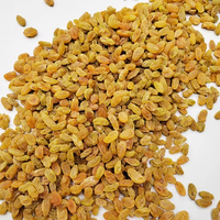 Raisins secs Super Golden Grape, conservés dans l'eau, sucrés, acidulés, salés, emballés sous vide, en vrac, fruits de Belgique