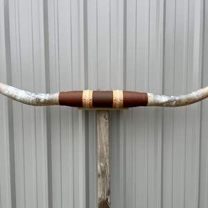 Decoración de Pared con Cuerno de Toro Indio, Cuerno de Búfalo, Estilo Animal Moderno y Ecológico - Product Image 5