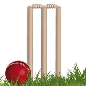 Vente chaude de qualité supérieure en bois ressort dos cricket souche d'entraînement avec base en métal meilleur prix - Product Image 5