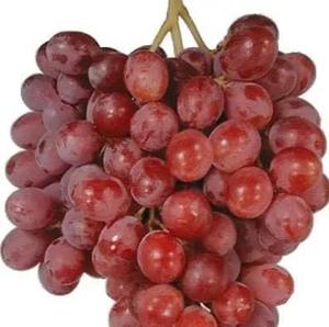 Uvas frescas sin semillas rojas y verdes carmesí al por mayor - Product Image 4
