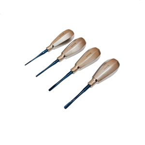 Ensemble de 4 éleveurs dentaires droits - Instruments d'extraction dentaire en acier inoxydable de qualité supérieure pour la chirurgie buccale - Product Image 4
