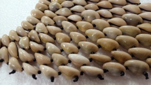 Collares de conchas de cauri naturales hechos a medida, hechos de conchas naturales reales, ideales para diseñadores de joyería de moda para reventa. - Product Image 3