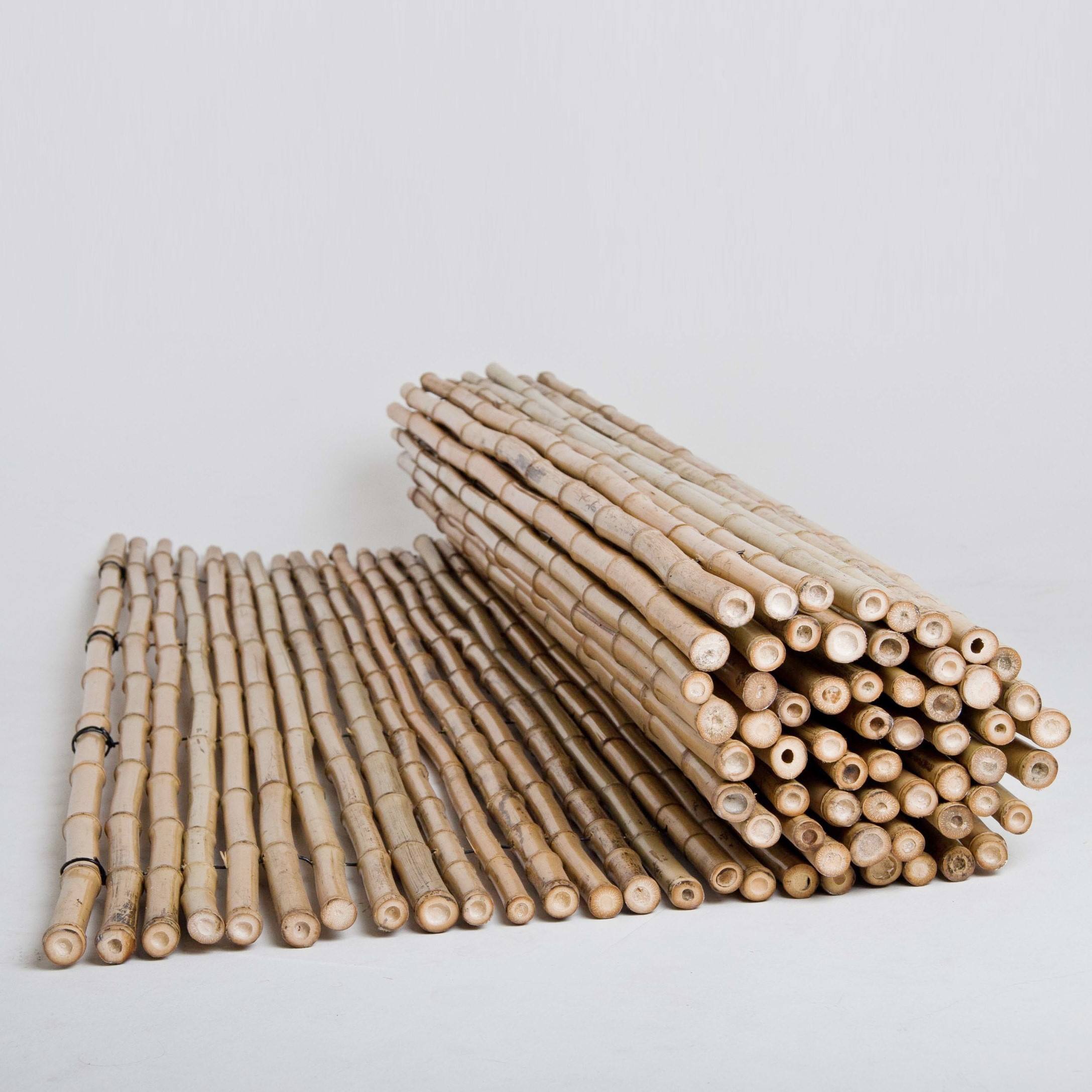 ธรรมชาติ