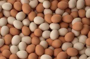Huevos Frescos de Gallina de Granja, Marrones y Blancos, Orgánicos, de Alta Calidad, Ricos en Proteínas, Huevos para Incubar, Larga Vida Útil, 60g - Product Image 4