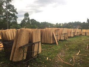 Conception industrielle personnalisable vente en gros placage de bois d'eucalyptus coupe rotative usine du Vietnam construction utilisation de noyau de contreplaqué - Product Image 2