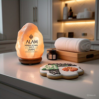 Lampe de sel de l'Himalaya certifiée GMP, 2-3 kg, écologique, décoration intérieure, croix Feng Shui, animaux, fleurs, faite à la main, électrique