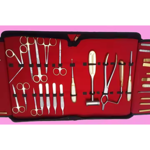 Juego de 30 piezas de instrumentos de fuente manual de alta calidad utilizados para cirugía de orejas CE ISO APROBADO por Surgiright Instruments - Product Image 6