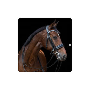 Frist HORSE Comfort BRIDLE Fantaisie Décoratif Anatomique Cheval Bride En Cuir Rembourré Équitation Anatomique Brides saisonnier - Product Image 6