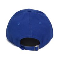 Gorra Deportiva Unisex de 6 Paneles, Ligera, de Secado Rápido, Transpirable/Impermeable, con Diseño de Leopardo, Logotipo Bordado en 3D Personalizado, Estilo Golf Dad Hat