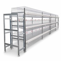 Cage à poules à 6 niveaux en H, peu encombrante, avec système d'évacuation automatique du fumier et courroie à œufs, pour élevages pondeuses à haute densité