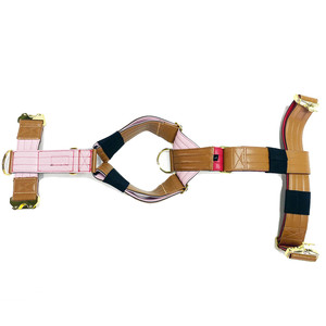 Arnês De Couro De Cão Tático Personalizado Novo Leve Pet Arnês Com Fivela De Metal Dourado De Luxo Para Cães De Treinamento - Product Image 4