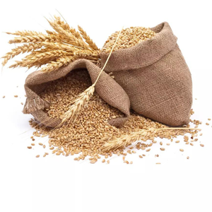 GRAIN DE BLÉ DE QUALITÉ SUPÉRIEURE 100% NATUREL À VENDRE. - Product Image 5