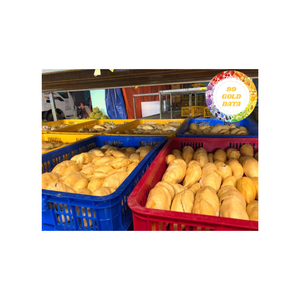Cartons en vrac de Durian frais et congelés et paquets d'IQF pour des importateurs et des services de restauration - Product Image 2