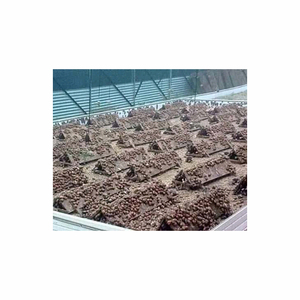 Farine d'escargot disponible en vente en gros parfait pour les fournisseurs d'aliments pour animaux et les distributeurs agricoles - Product Image 4