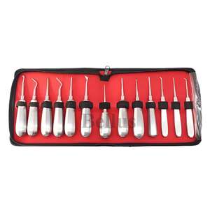 Juego de elevador de luxación Dental profesional de 13 piezas con instrumentos de elevación recta Cryer herramientas de extracción de dientes de acero inoxidable - Product Image 2