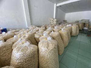 เม็ดมะม่วงหิมพานต์จากเวียดนาม W240 W320 - Product Image 4