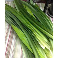[100% Biologique] L'essence du Pandan : Dévoiler ses saveurs aromatiques