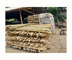 Venta al por mayor profesional de caña de bambú Moso para decoración y construcción - Product Image 1