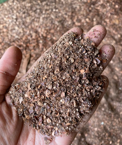 Coques de noix de cajou rouges propres pour additifs alimentaires pour tous - Product Image 4