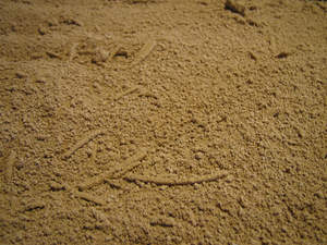 Enzima Celulasa Neutra Industrial para Lavado Textil, Tipo Puro, Venta Directa de Fábrica, Alta Calidad - Product Image 2