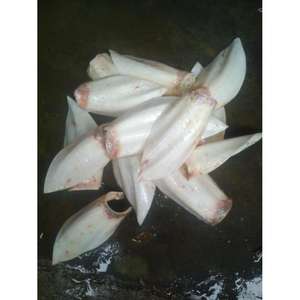 Suministros de alimentación para mascotas Variedades de alimentos saludables y para el crecimiento Comida beneficiosa para perros Alimentación de animales Comida saludable a precio barato - Product Image 3