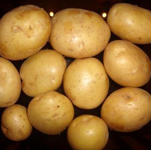 Pommes de terre fraîches de qualité supérieure, prix de gros pour l'exportation - Product Image 2