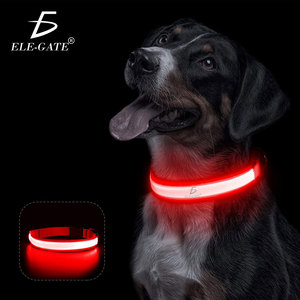 Collare per Cani e Gatti di Lusso con Luce LED, Ricaricabile, Sostenibile, in Nylon e Poliestere Resistente con Motivo Stampato - Product Image 1