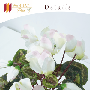 30ซมดอกไม้ผ้าไหมเทียมพลาสติกผ้าสีขาว cyclamen พุ่มไม้สัมผัสจริงใบพุ่มสำหรับการตกแต่งในร่มสีเขียว - Product Image 3