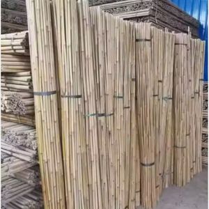 Estacas de Bambú de Tamaño Personalizado para Uso en Viveros, Tratadas Antimoho - Product Image 3