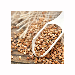 Suministro a granel de trigo sarraceno a precio de fábrica, calidad de exportación, entrega rápida, comercio al por mayor - Product Image 1