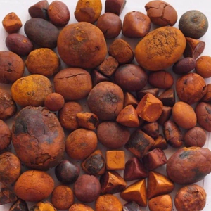 Cálculos Biliares de Buey 100% Naturales Secos, Cálculos Biliares de Ganado, Cálculos Biliares de Vaca, Extracto Animal, Proveedor Mayorista a Granel - Product Image 4