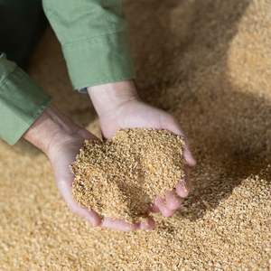 Aliments pour animaux Farine de soja Produit agricole spécifique à la volaille - Product Image 1