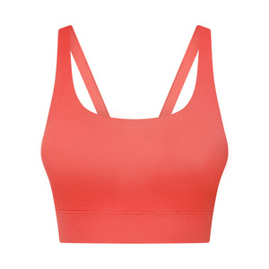 Sujetador deportivo para mujer superventas, Sujetador deportivo de secado rápido transpirable cómodo de alta calidad, talla grande, precio competitivo, logotipo personalizado - Product Image 5