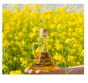 Huile de canola raffinée biologique en vrac pour restaurants, commerce de détail et industrie alimentaire, vente bon marché pour la cuisine - Product Image 6