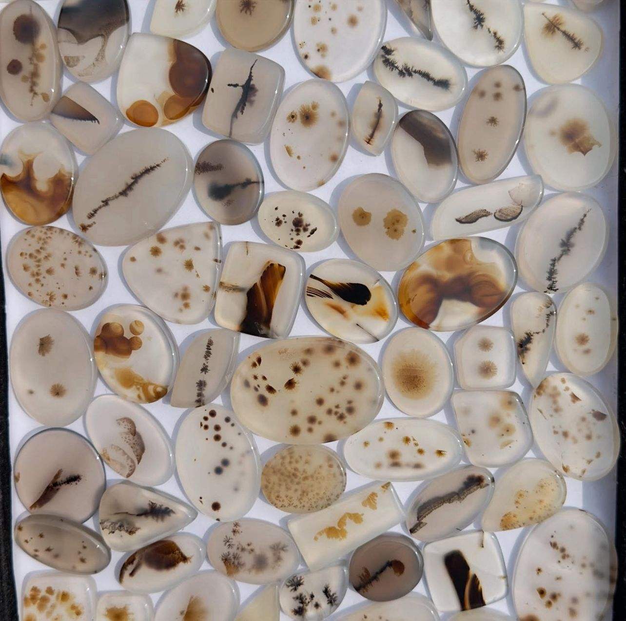 ตามที่เห็นในภาพ